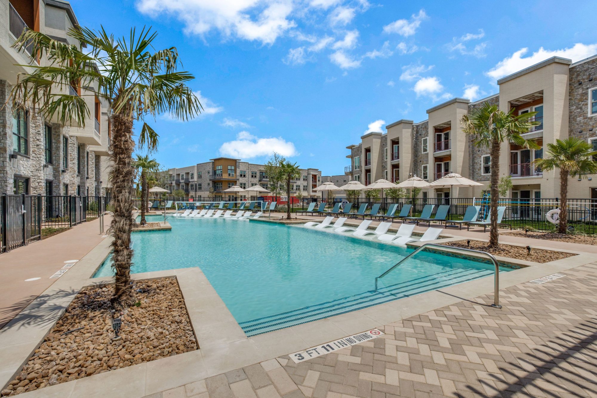 pool area with palm trees, lounge chairs, and volleyball netting